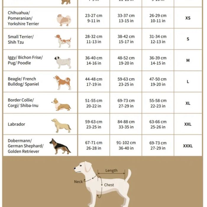 Комплект нагръдник и повод „Бъгс Бъни“