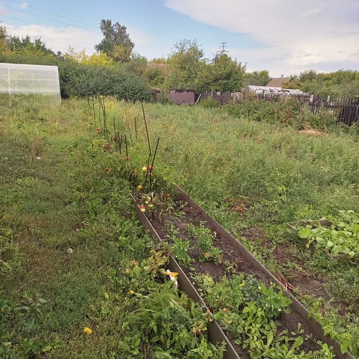 Продам дачу общество Энергетик