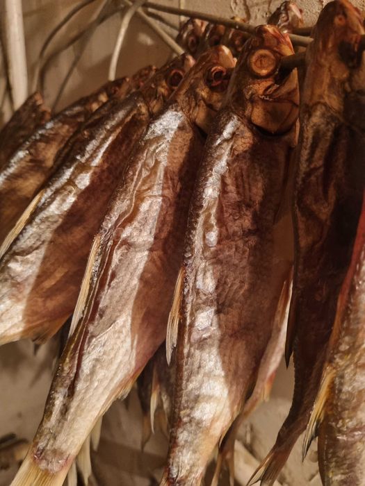 Продаётся сушёный рыбец