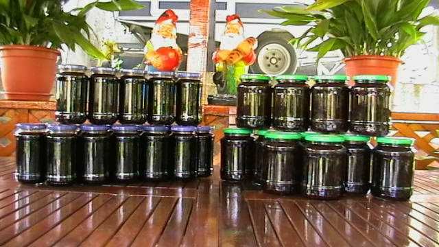 Compoturi de cireşe/vişine/coacăze negre