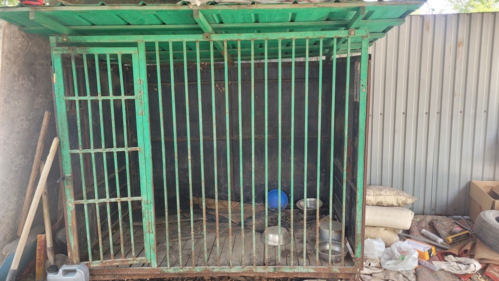 Валер для собак зелёный