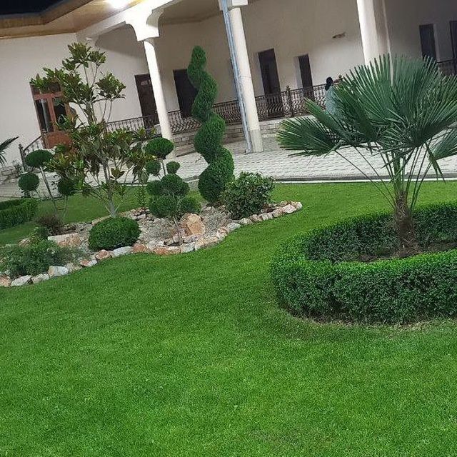 Sadovnik Gazon archa va gullar ekish xizmati va archa kesish