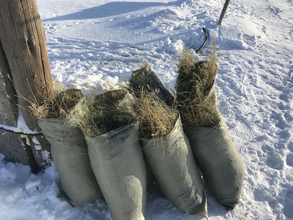 Сено в мешкаххххх