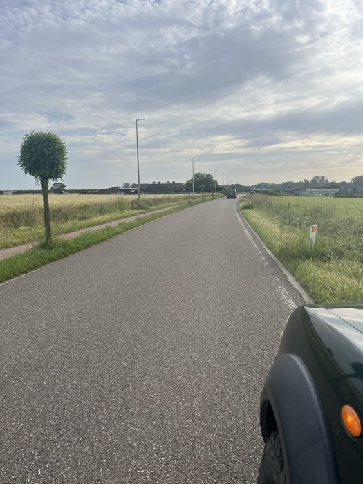 Defrisam manual spatii verzii