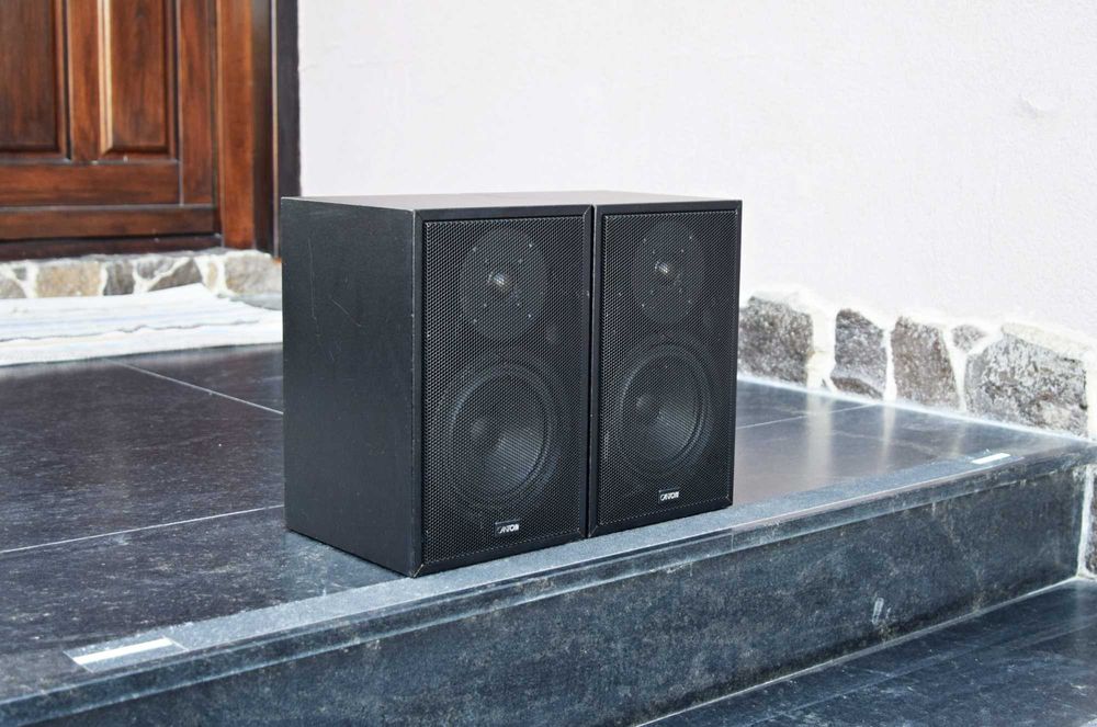 Boxe Canton Fonum 250