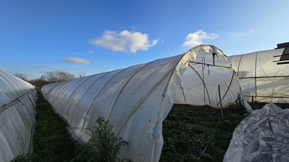 Vand solarii legume/tunel