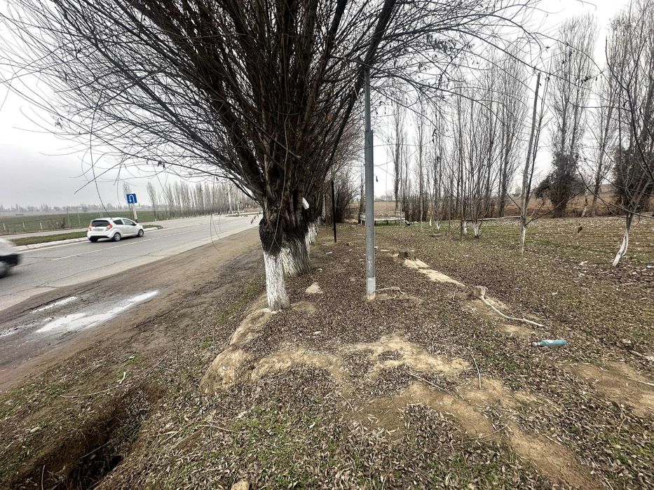 Yangiyo'l tumani M39 betonkani yoni 24 sotix