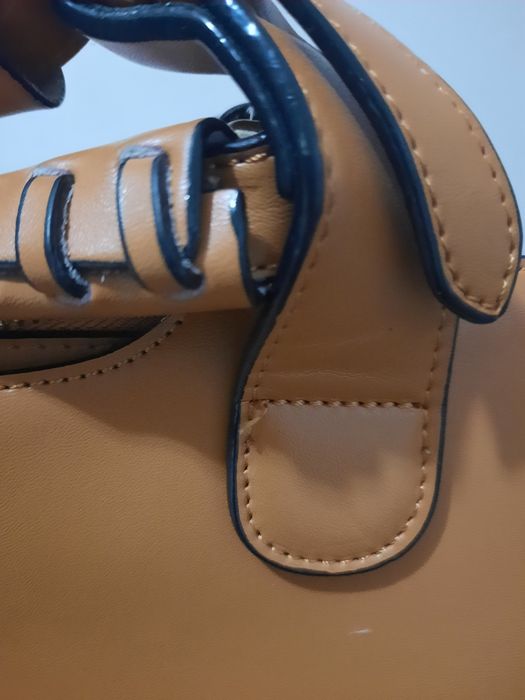 Geanta Dasha ( NUCELLE)