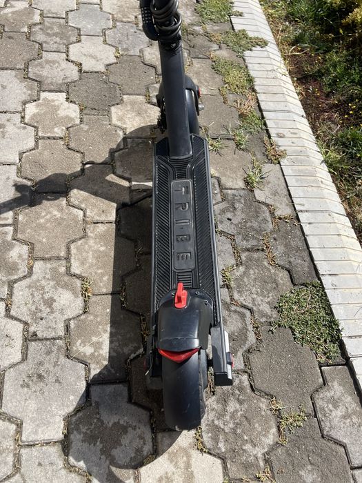 Самокат TRIBE MAYA в продаже