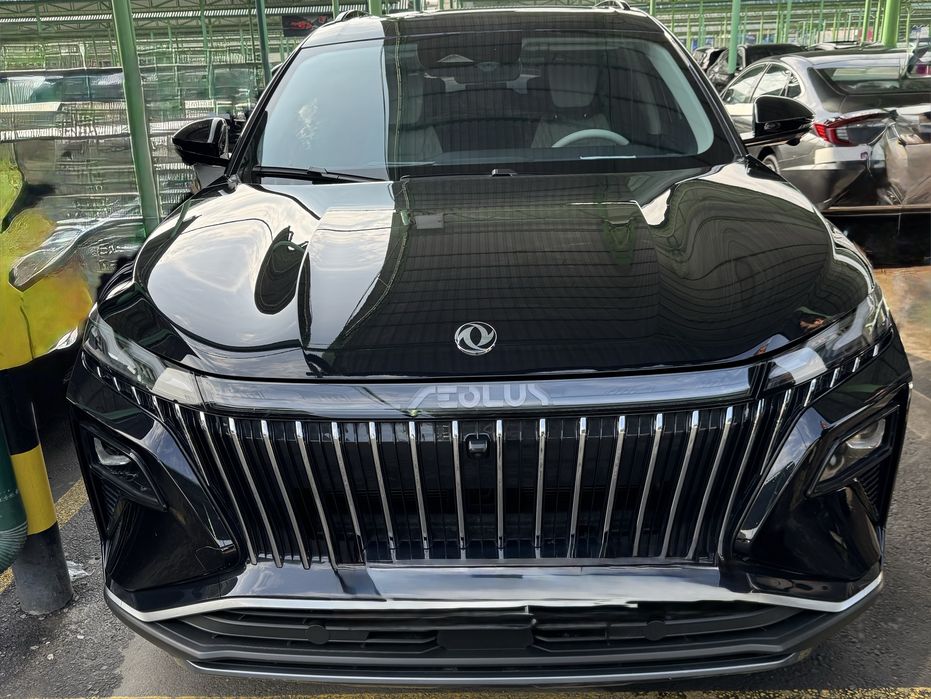 Dongfeeng passenger car aeolus