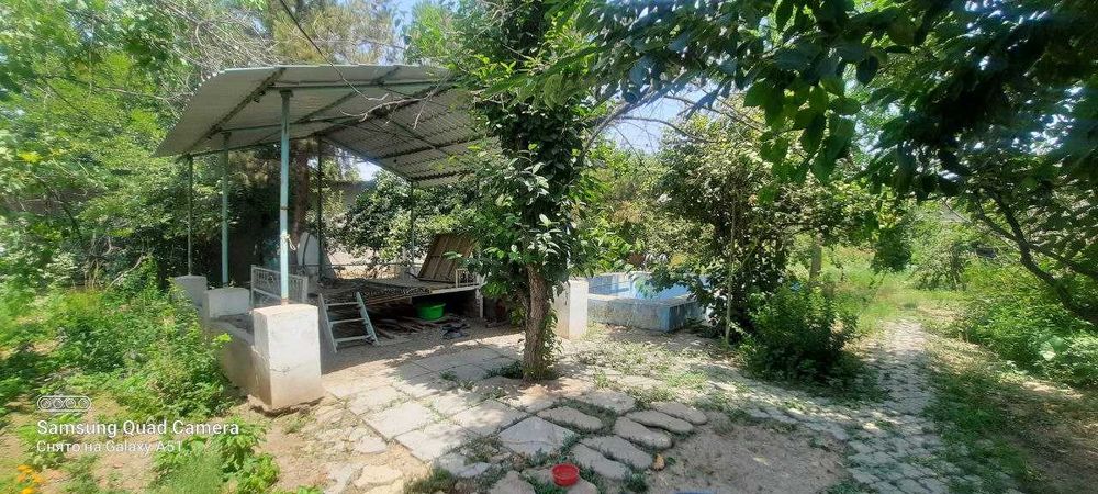 Dacha sotiladi, Nazarbekda