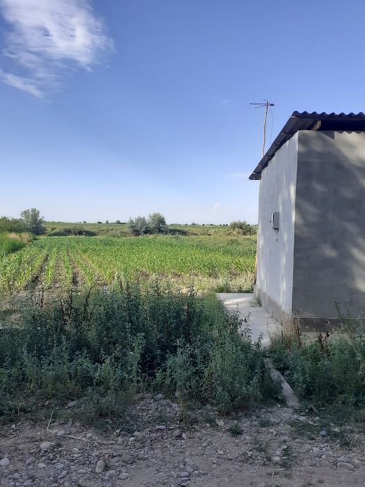 12 sotik Er uy joy uchaska sotiladi. Kadastr xujjatlari bor.