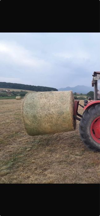 Baloti lucernă ecologică coasă 2 de cea mai bună calitate certificată ecologic