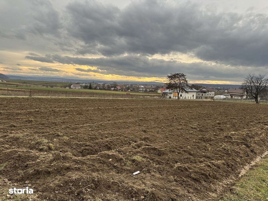 Teren intravilan în Mitocași 67500 euro