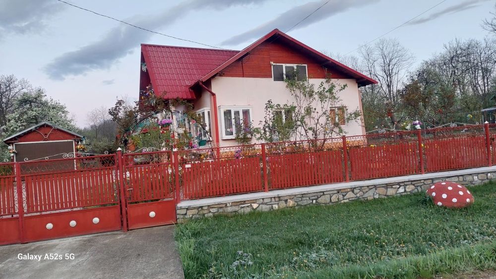 Porți și gard de vânzare