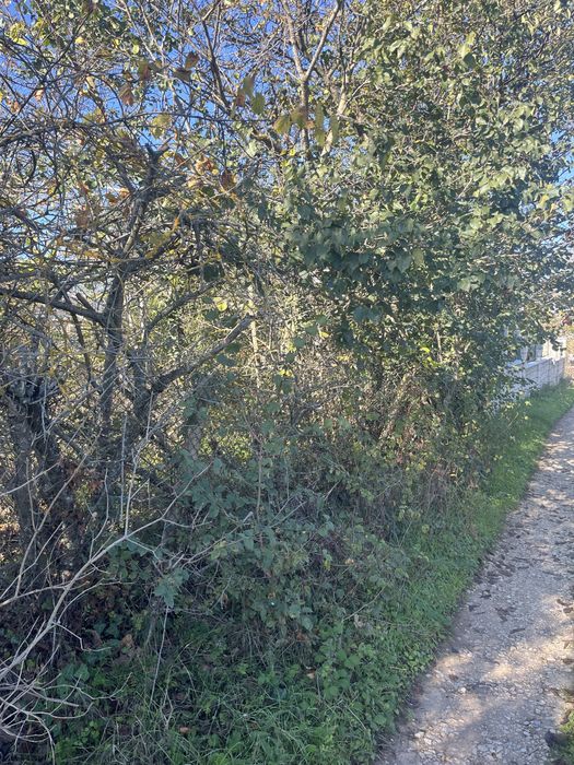 Продава се Парцел в Варна, Базар Левски - 347 кв.м за 41 €/кв.м - Снимка #2