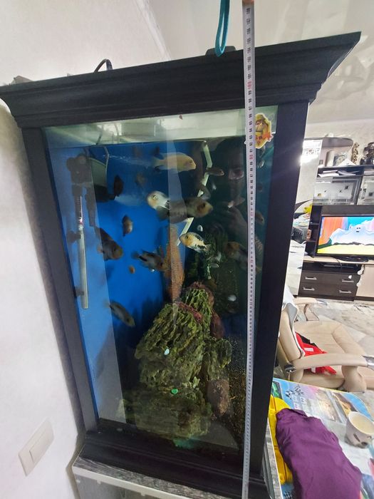 Аквариум 1500 литров