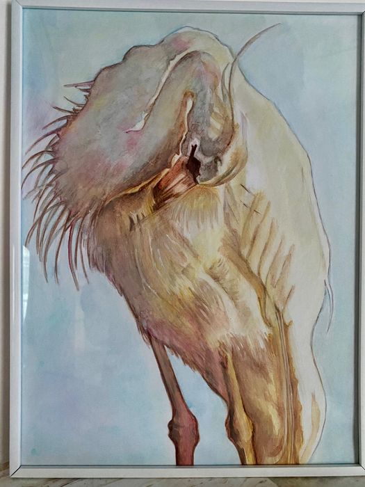 Продам акварельные картины