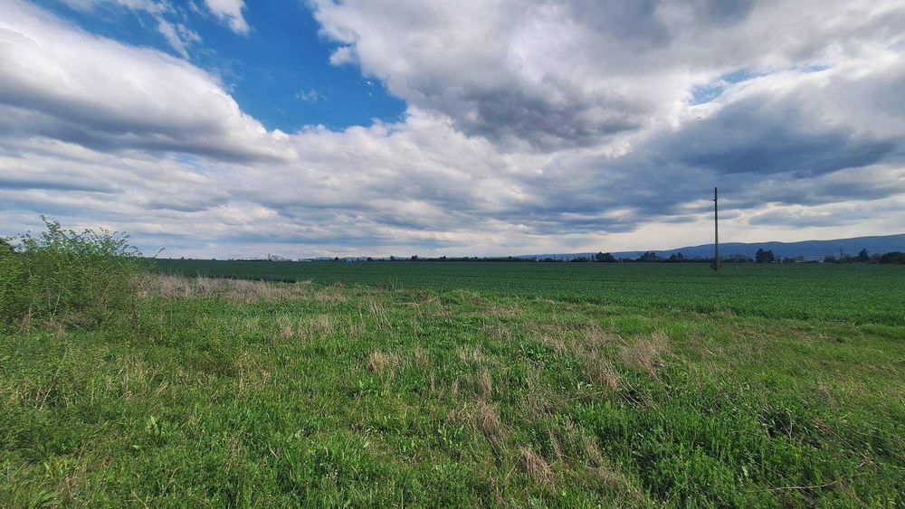 Продава се Парцел в с. Мусачево, Област София-област - 18185 кв.м за 13 €/кв.м - Снимка #4