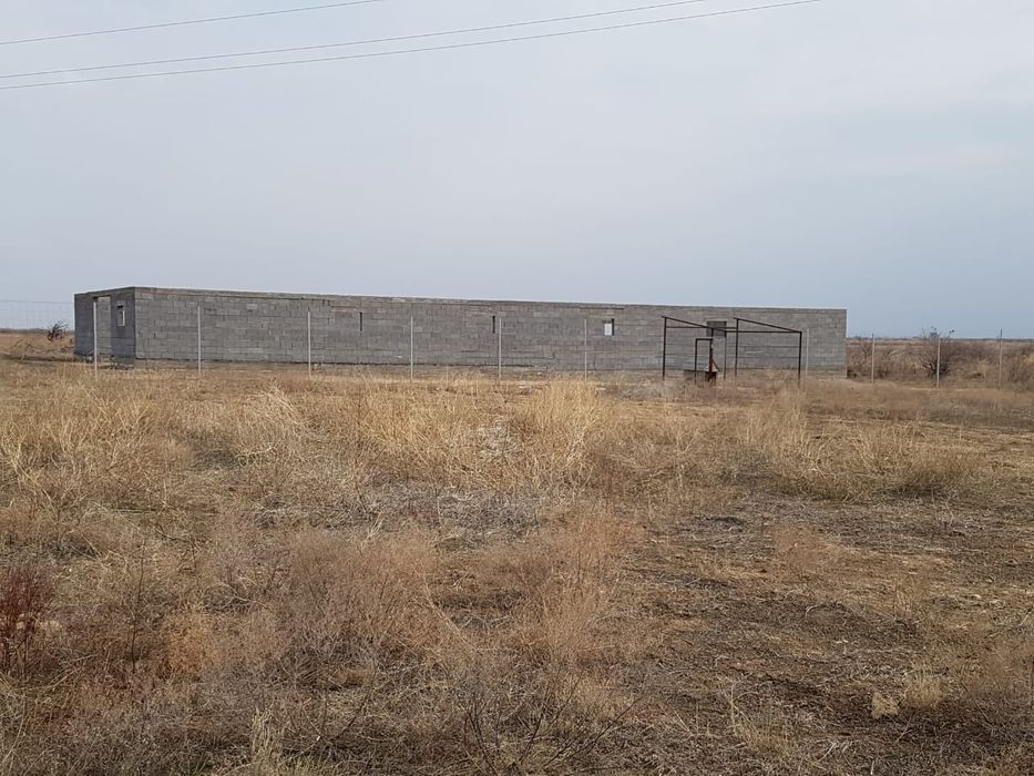 Крестьянское хозяйство