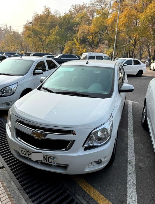 Cobalt Style MCM New