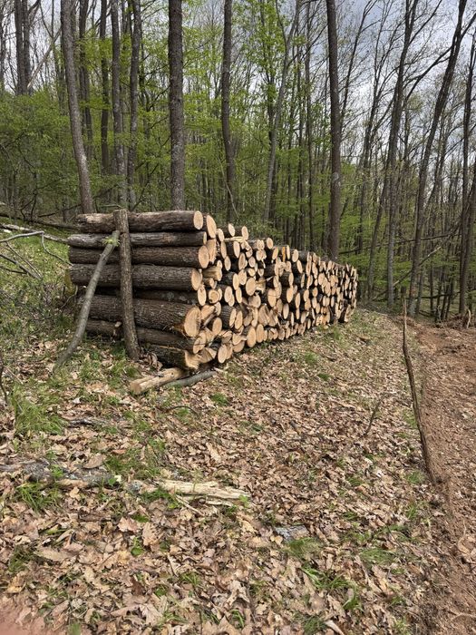 Дърва за огрев София! Дъб Бук Габър