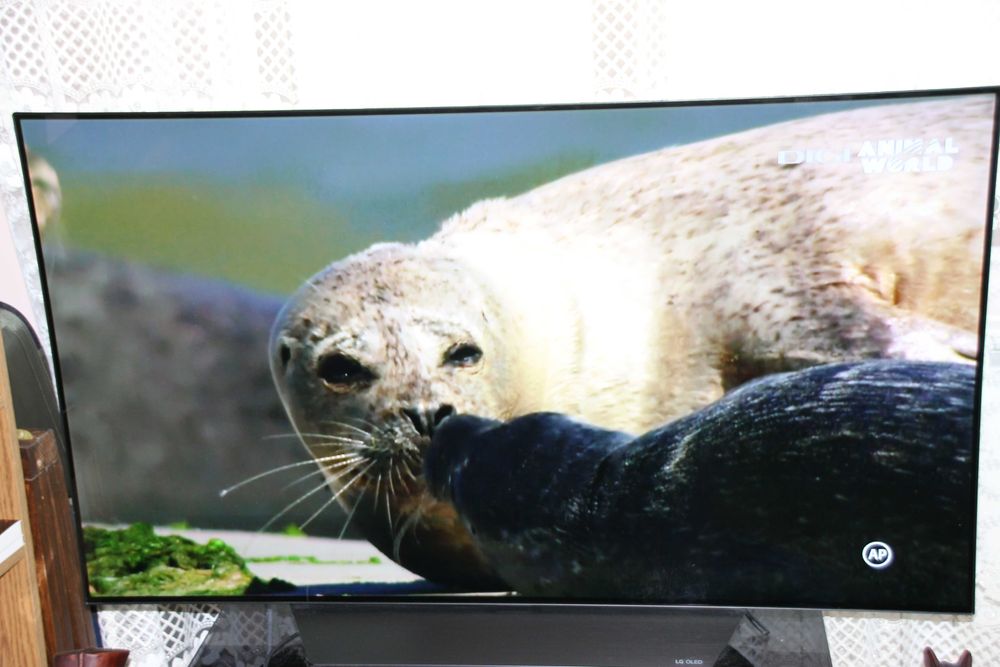 Smart TV OLED LG 4K - 139/55