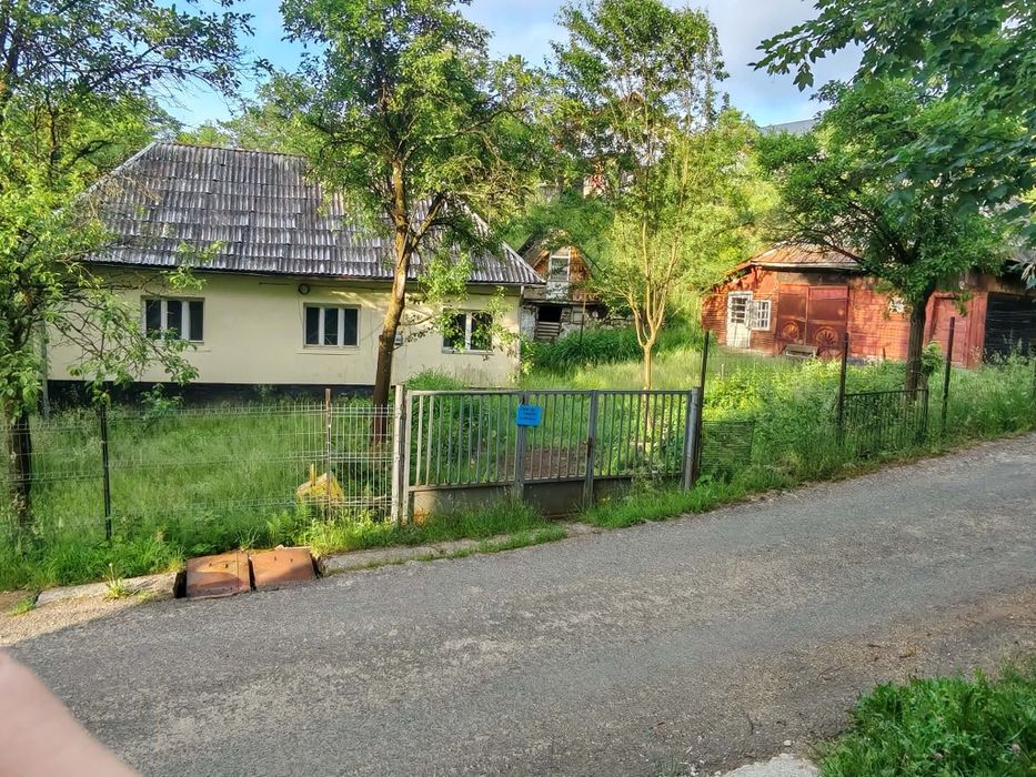 Teren intravilan CAVNIC si gospodarie batraneasca