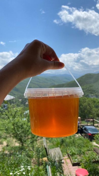 Дом/дача в горах