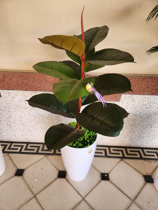 Suniy gullar katta hajimda