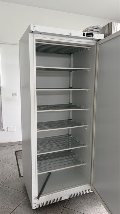 Congelator vertical