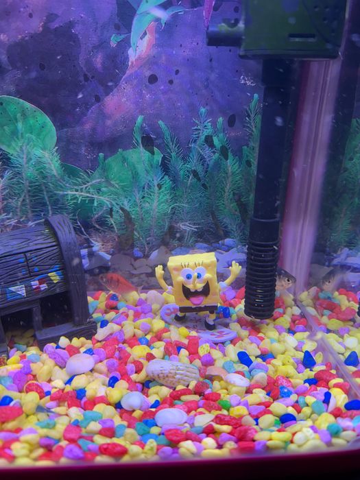 Аквариум 10 литров с рыбками