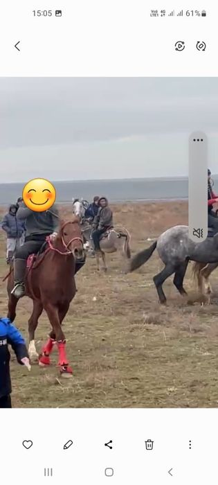 Ат сатылады срочна