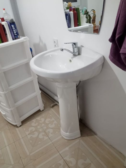 продам тюльпан новый