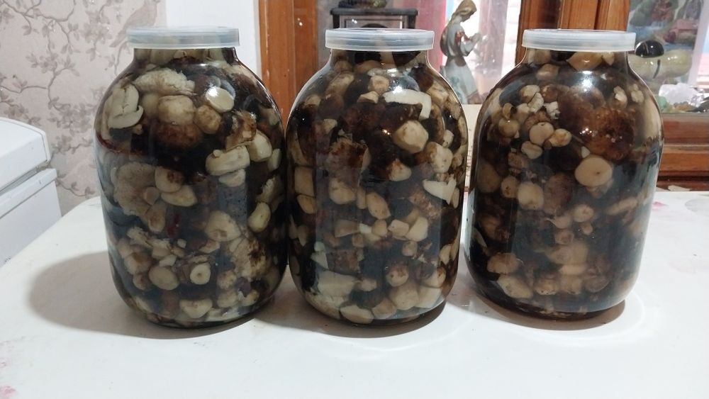 Грибы маринованные(валуи)