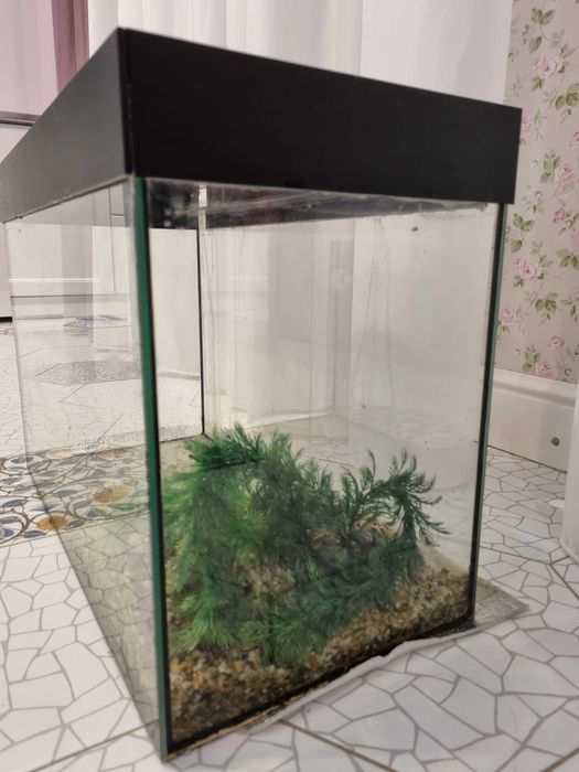 Аквариум  для рыбок