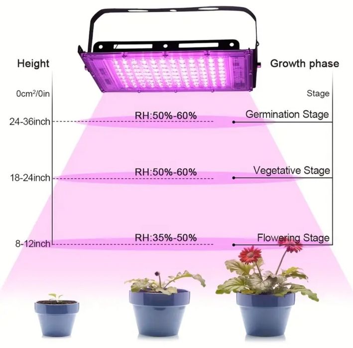 Fitolampa Фитолампа