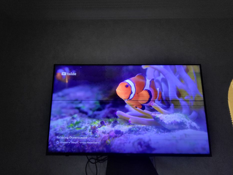 Ysin ,Ясин ,Ясин 112см