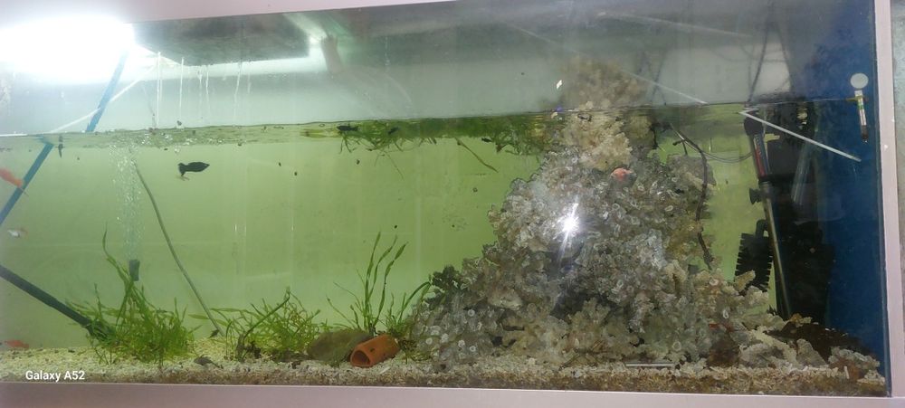 Аквариум на 850 литра