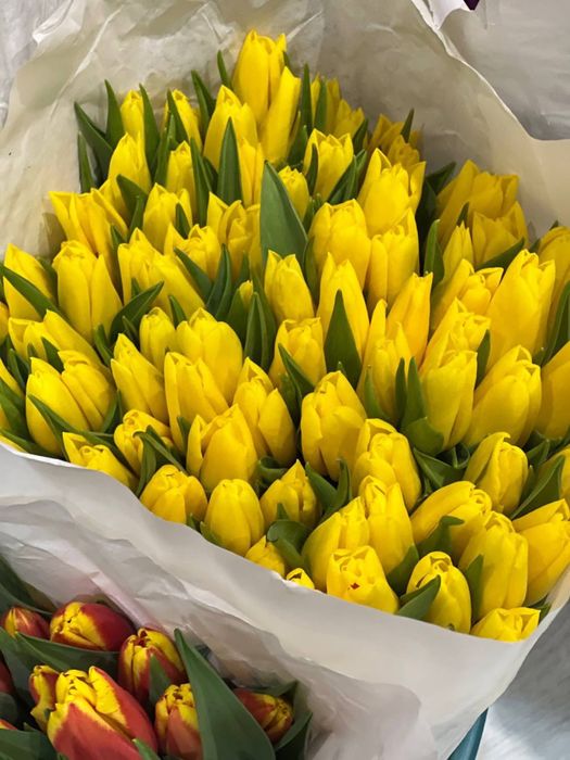 Тюльпаны оптом в Костанае на 8 марта