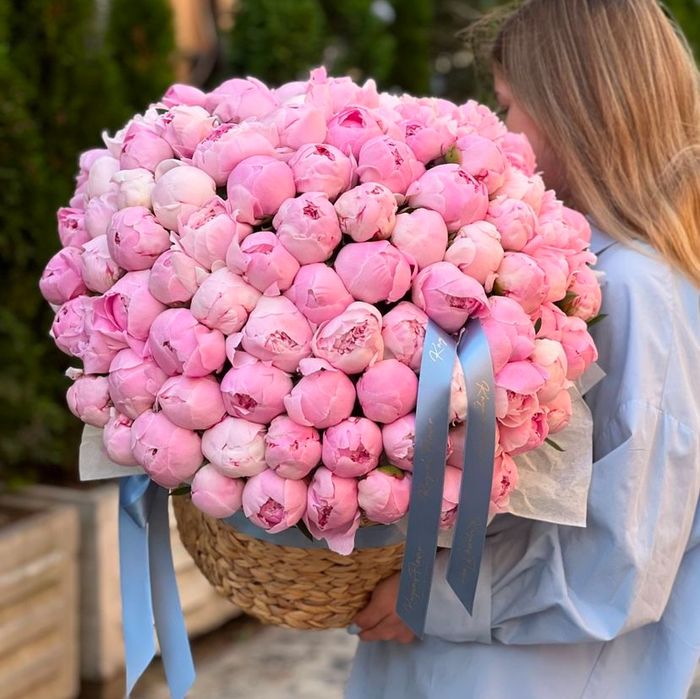 Пионы оптом и в розницу