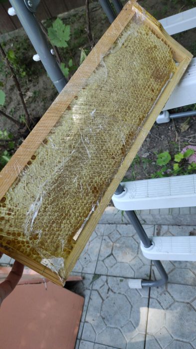 Продам мёд натуральный