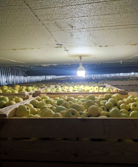 Вентилятор для холодильного оборудования