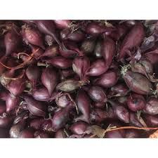 Arpagic roșu cultivat cu îngrășământ de grajd,bun de semănat,19 lei/kg