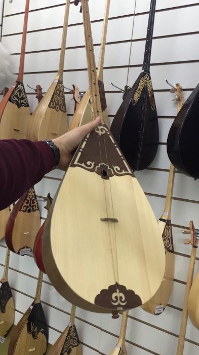 Домбыра кәсіби және әуесқой