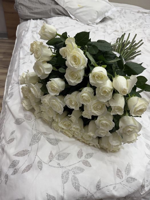 гул сатылады бүгн келді