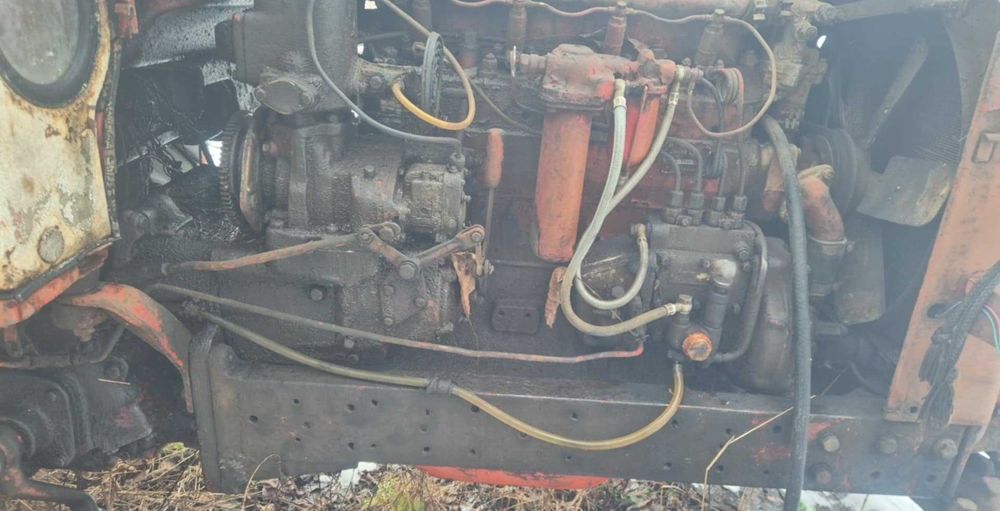 Юмз цял за части