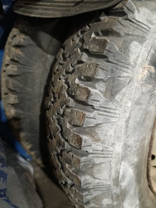 Резина на Жигули ишачка