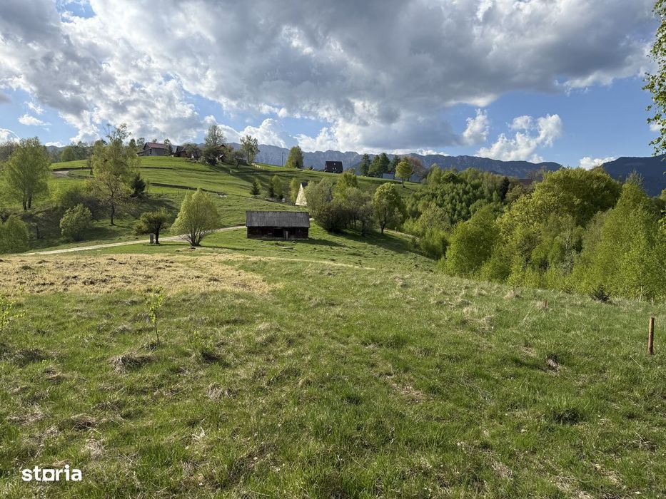 Teren intravilan 1000 mp in Pestera, Comuna Moieciu la 12 km de Bran