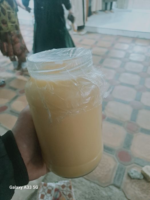 Saryog' sotiladi manashu sigirlarning yog'i 100 000 so'mdan kilosi